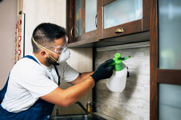Best Cockroach Control Services  in Trafalgar, IN