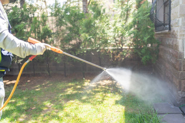 Best Ant Control Services  in Trafalgar, IN